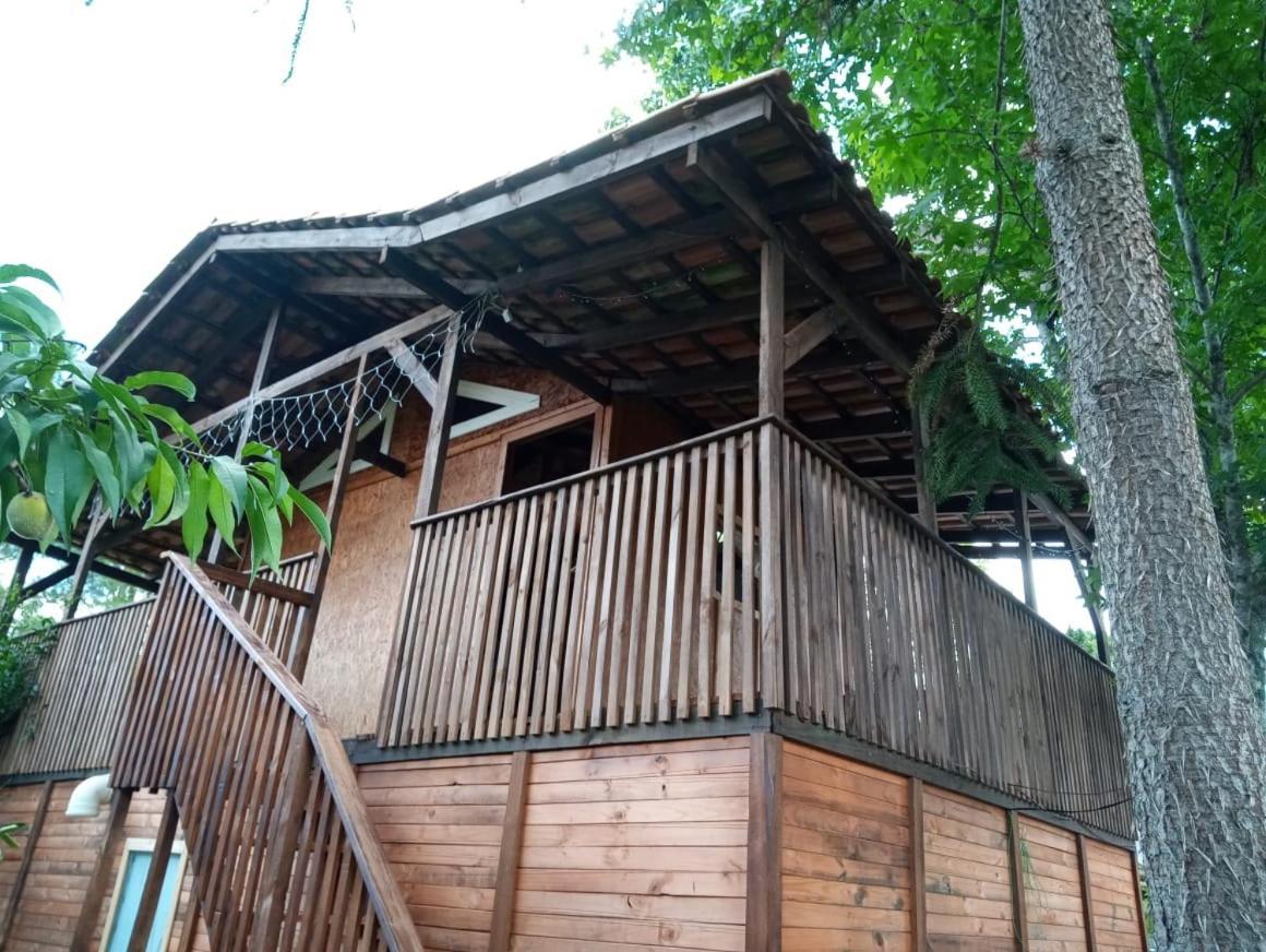 Mini House Park Hotel Campo Alegre  Exterior foto